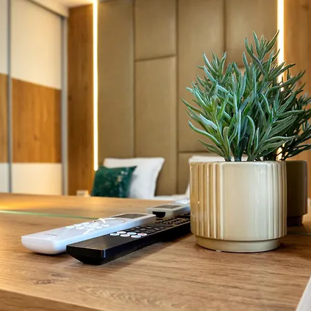 Evergreen 301 - Luxury Near Gondola Bansko